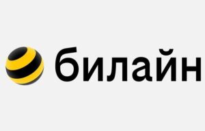 Интернет-провайдер билайн для дома
